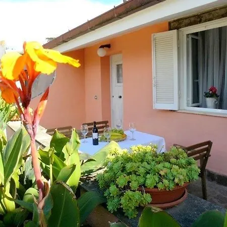 Apartment D